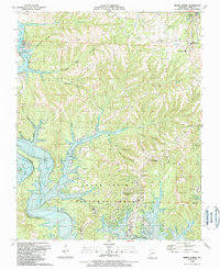 Download a high-resolution, GPS-compatible USGS topo map for Reeds Spring, MO (1989 edition)
