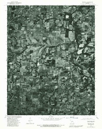Download a high-resolution, GPS-compatible USGS topo map for Republic, MO (1981 edition)