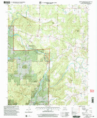 Download a high-resolution, GPS-compatible USGS topo map for Rhodes Mountain, MO (2003 edition)