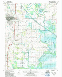 Download a high-resolution, GPS-compatible USGS topo map for Rich Hill, MO (1991 edition)