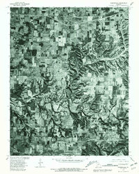 Download a high-resolution, GPS-compatible USGS topo map for Rogersville, MO (1981 edition)