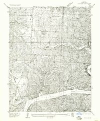 preview thumbnail of historical topo map of Benton County, MO in 1957