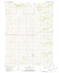 Download a high-resolution, GPS-compatible USGS topo map for Skidmore NW, MO (1982 edition)