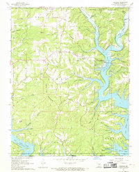 Download a high-resolution, GPS-compatible USGS topo map for Theodosia, MO (1970 edition)