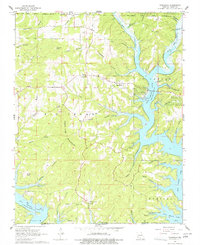 Download a high-resolution, GPS-compatible USGS topo map for Theodosia, MO (1977 edition)