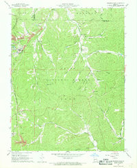 preview thumbnail of historical topo map of Iron County, MO in 1967