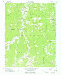 Download a high-resolution, GPS-compatible USGS topo map for Viburnum West, MO (1978 edition)