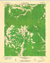 Download a high-resolution, GPS-compatible USGS topo map for Womack, MO (1960 edition)