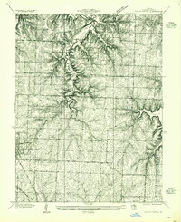 Download a high-resolution, GPS-compatible USGS topo map for Woods Chapel, MO (1955 edition)