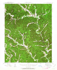 Download a high-resolution, GPS-compatible USGS topo map for Lesterville, MO (1963 edition)