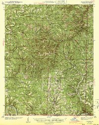 Download a high-resolution, GPS-compatible USGS topo map for Protem, MO (1943 edition)