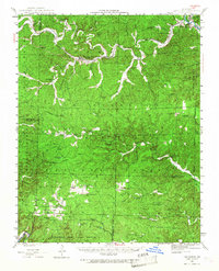 preview thumbnail of historical topo map of Van Buren, MO in 1944