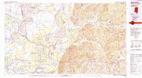 preview thumbnail of historical topo map of Woodville, MS in 1991