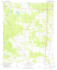 Download a high-resolution, GPS-compatible USGS topo map for Bailey Lake, MS (1978 edition)