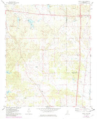 Download a high-resolution, GPS-compatible USGS topo map for Bailey Lake, MS (1982 edition)
