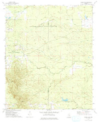 Download a high-resolution, GPS-compatible USGS topo map for Barge Lake, MS (1975 edition)