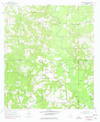 Download a high-resolution, GPS-compatible USGS topo map for Barrontown, MS (1978 edition)