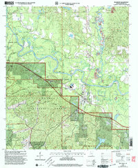 Download a high-resolution, GPS-compatible USGS topo map for Beaumont, MS (2003 edition)