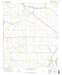 Download a high-resolution, GPS-compatible USGS topo map for Bellewood, MS (1966 edition)