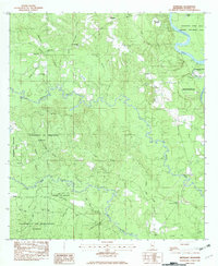 Download a high-resolution, GPS-compatible USGS topo map for Benndale, MS (1982 edition)