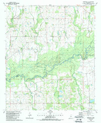 preview thumbnail of historical topo map of Yazoo County, MS in 1989