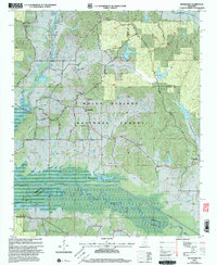 Download a high-resolution, GPS-compatible USGS topo map for Bethlehem, MS (2003 edition)