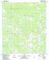 Download a high-resolution, GPS-compatible USGS topo map for Bewelcome, MS (1988 edition)