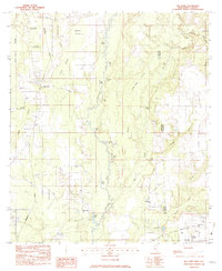 Download a high-resolution, GPS-compatible USGS topo map for Big Point, MS (1983 edition)