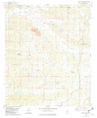 Download a high-resolution, GPS-compatible USGS topo map for Black Hawk, MS (1982 edition)