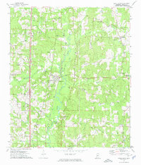 Download a high-resolution, GPS-compatible USGS topo map for Bogue Chitto, MS (1974 edition)
