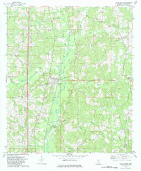 Download a high-resolution, GPS-compatible USGS topo map for Bogue Chitto, MS (1984 edition)