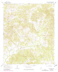 Download a high-resolution, GPS-compatible USGS topo map for Bowling Green, MS (1982 edition)