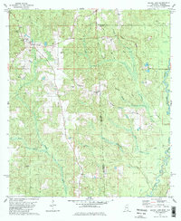 Download a high-resolution, GPS-compatible USGS topo map for Brown Town, MS (1984 edition)