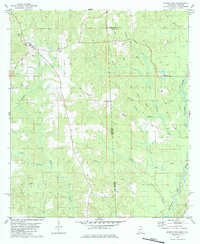 Download a high-resolution, GPS-compatible USGS topo map for Brown Town, MS (1984 edition)