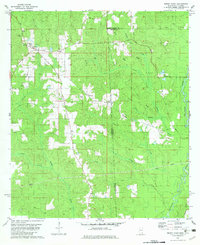Download a high-resolution, GPS-compatible USGS topo map for Brown Town, MS (1982 edition)