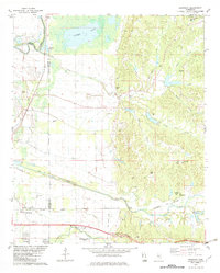Download a high-resolution, GPS-compatible USGS topo map for Browning, MS (1982 edition)