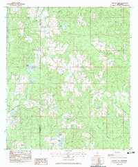 Download a high-resolution, GPS-compatible USGS topo map for Browns Lake, MS (1983 edition)