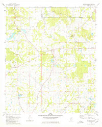 Download a high-resolution, GPS-compatible USGS topo map for Brownsville, MS (1980 edition)