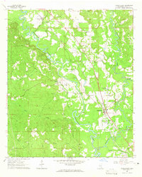 1964 Map of Wayne County, MS, 1965 Print