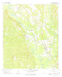 1964 Map of Wayne County, MS, 1976 Print