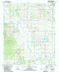 Download a high-resolution, GPS-compatible USGS topo map for Buena Vista, MS (1987 edition)