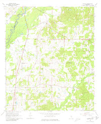 Download a high-resolution, GPS-compatible USGS topo map for Camden, MS (1981 edition)