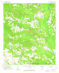 1964 Map of Wayne County, MS, 1965 Print