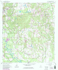 Download a high-resolution, GPS-compatible USGS topo map for Carterville, MS (1985 edition)