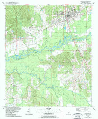 preview thumbnail of historical topo map of Carthage, MS in 1989
