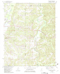 Download a high-resolution, GPS-compatible USGS topo map for Chalybeate, MS (1983 edition)