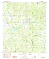 Download a high-resolution, GPS-compatible USGS topo map for Chunky, MS (1990 edition)