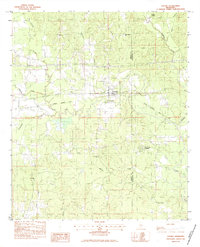 Download a high-resolution, GPS-compatible USGS topo map for Chunky, MS (1983 edition)