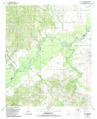 Download a high-resolution, GPS-compatible USGS topo map for Coxs Ferry, MS (1989 edition)