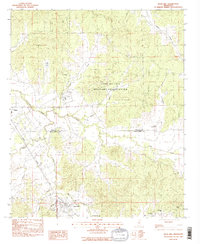 preview thumbnail of historical topo map of Duck Hill, MS in 1983